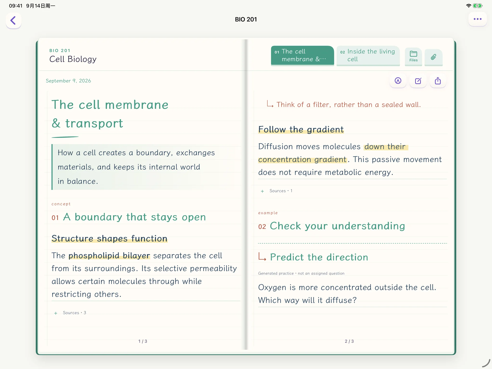 Spare Notes on iPad: a two-page note spread