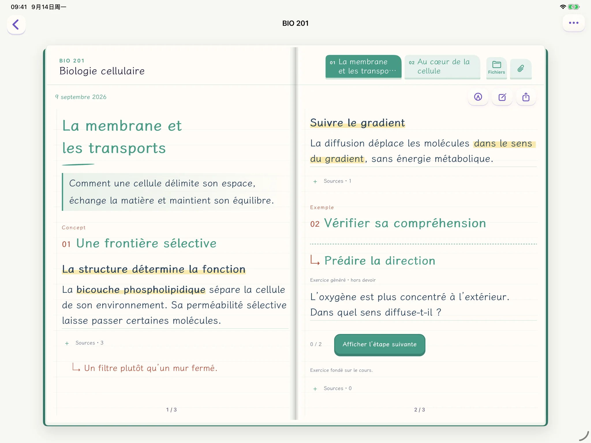 Spare Notes sur iPad : deux pages de notes côte à côte